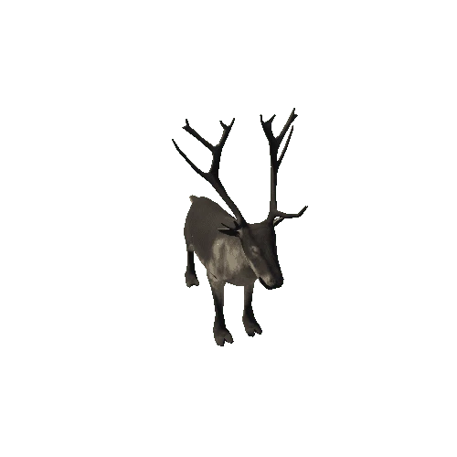 Reindeer_RM_FV_SLP (1)